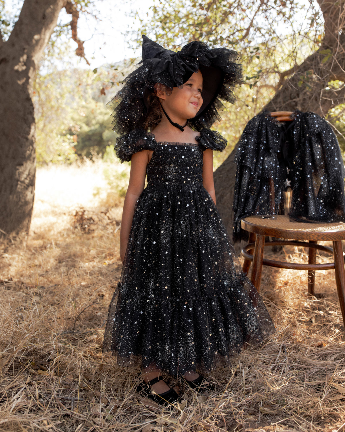 Clara Dress Silver Stars