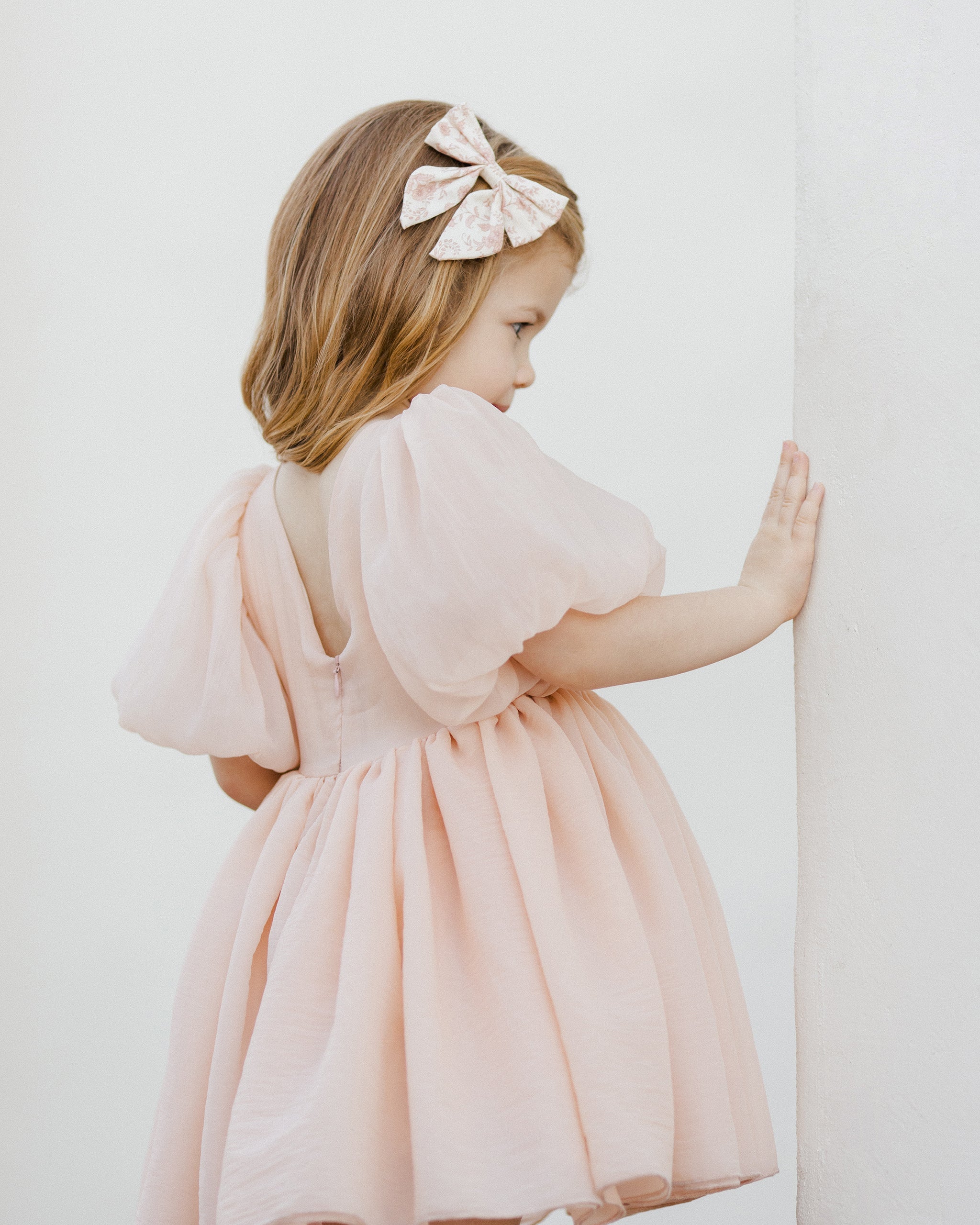 ノラリー　Noralee SOFIA DRESS BLUSH Sofia Dress | Blush – Noralee