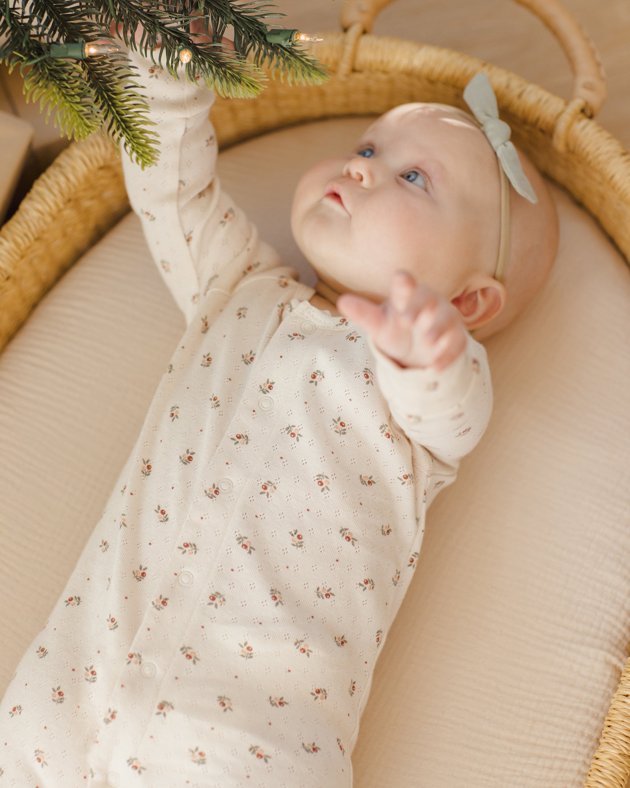 クインシーメイのオーガニックポインテルはこちら