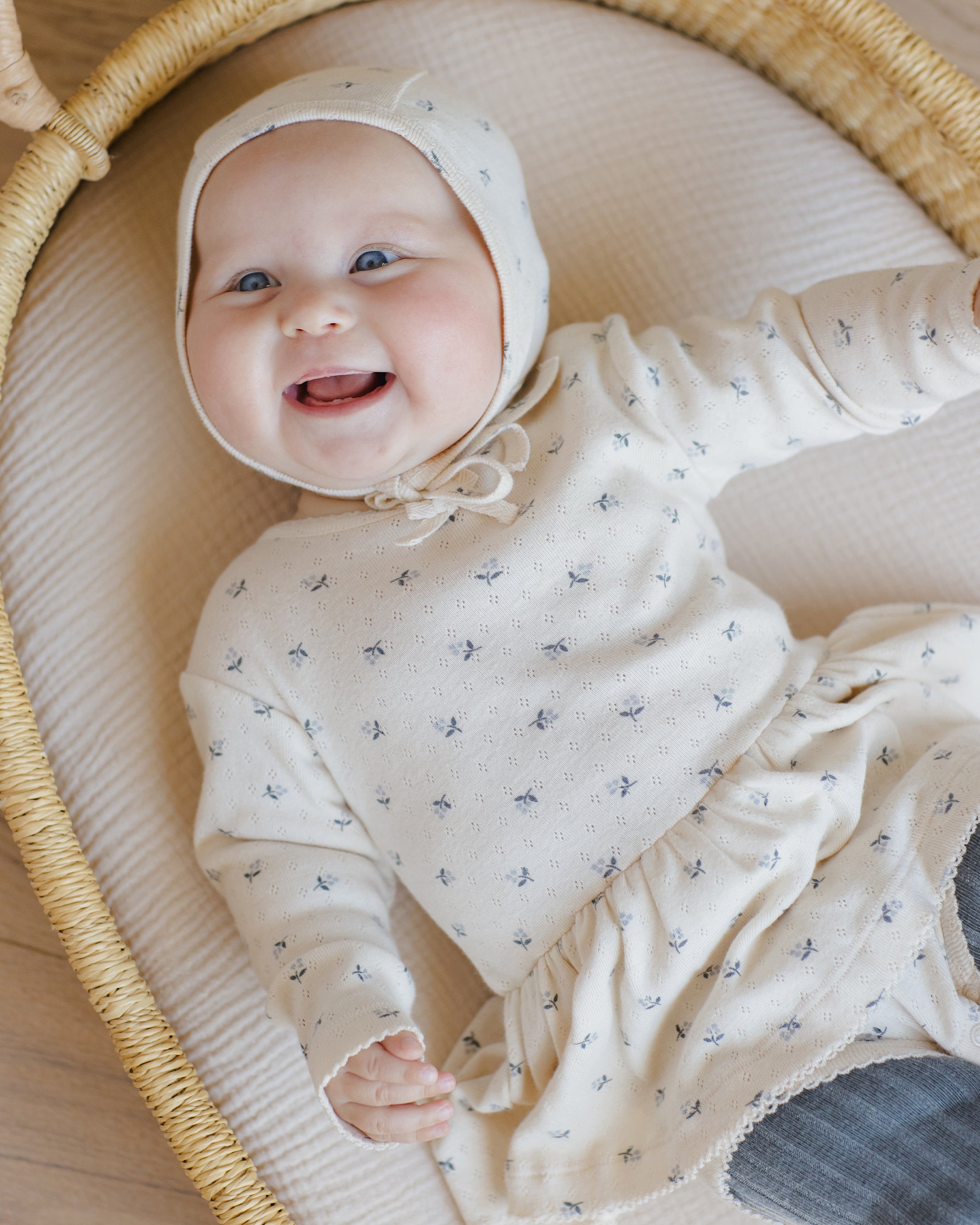 クインシーメイのオーガニックポインテルはこちら