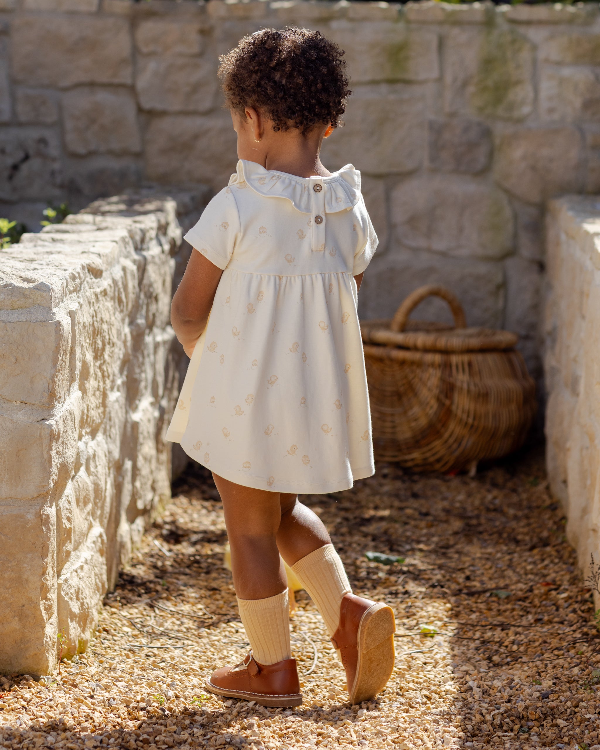 Ruffle Collar Jersey Dress Chicks