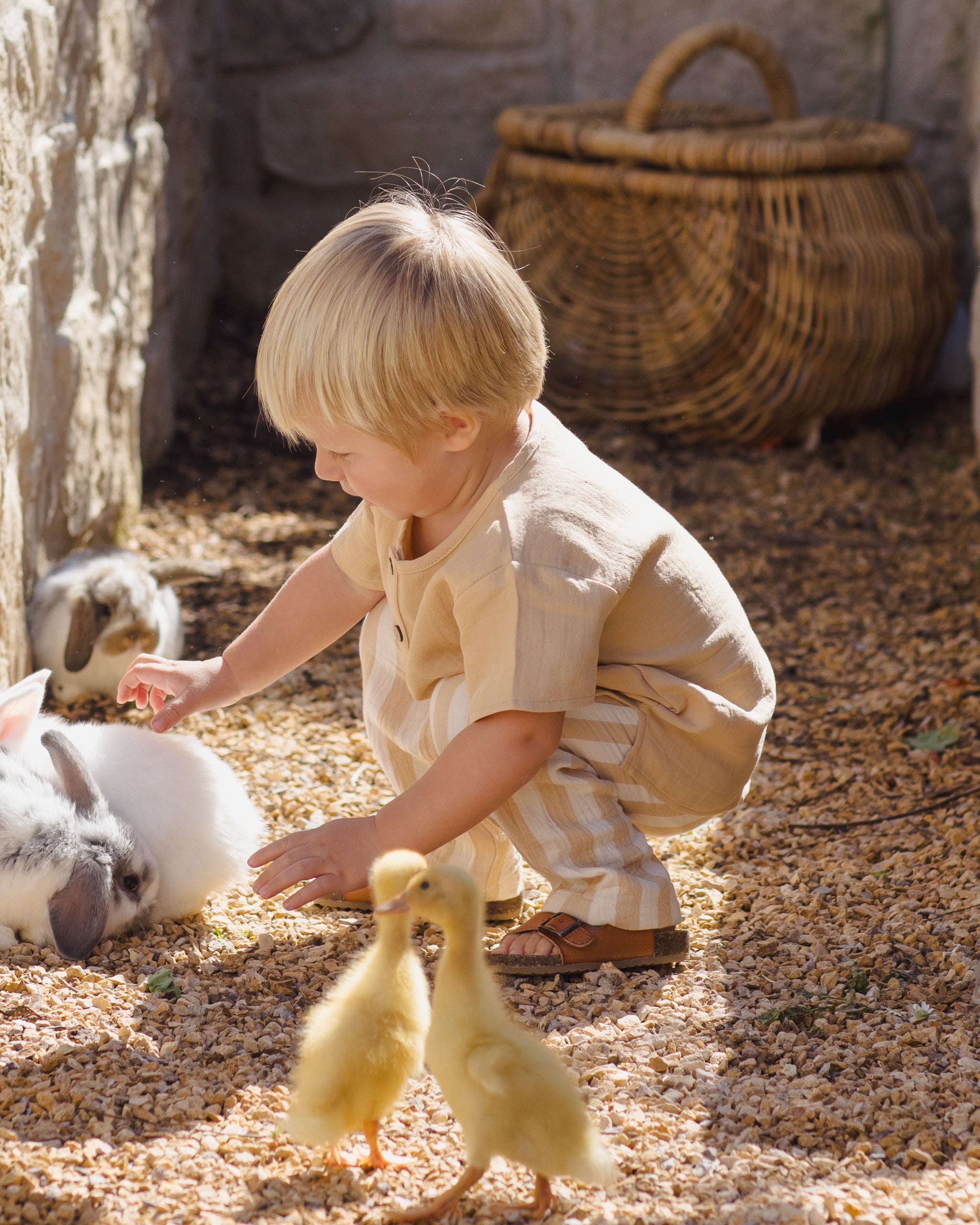 Henry Top Butterscotch