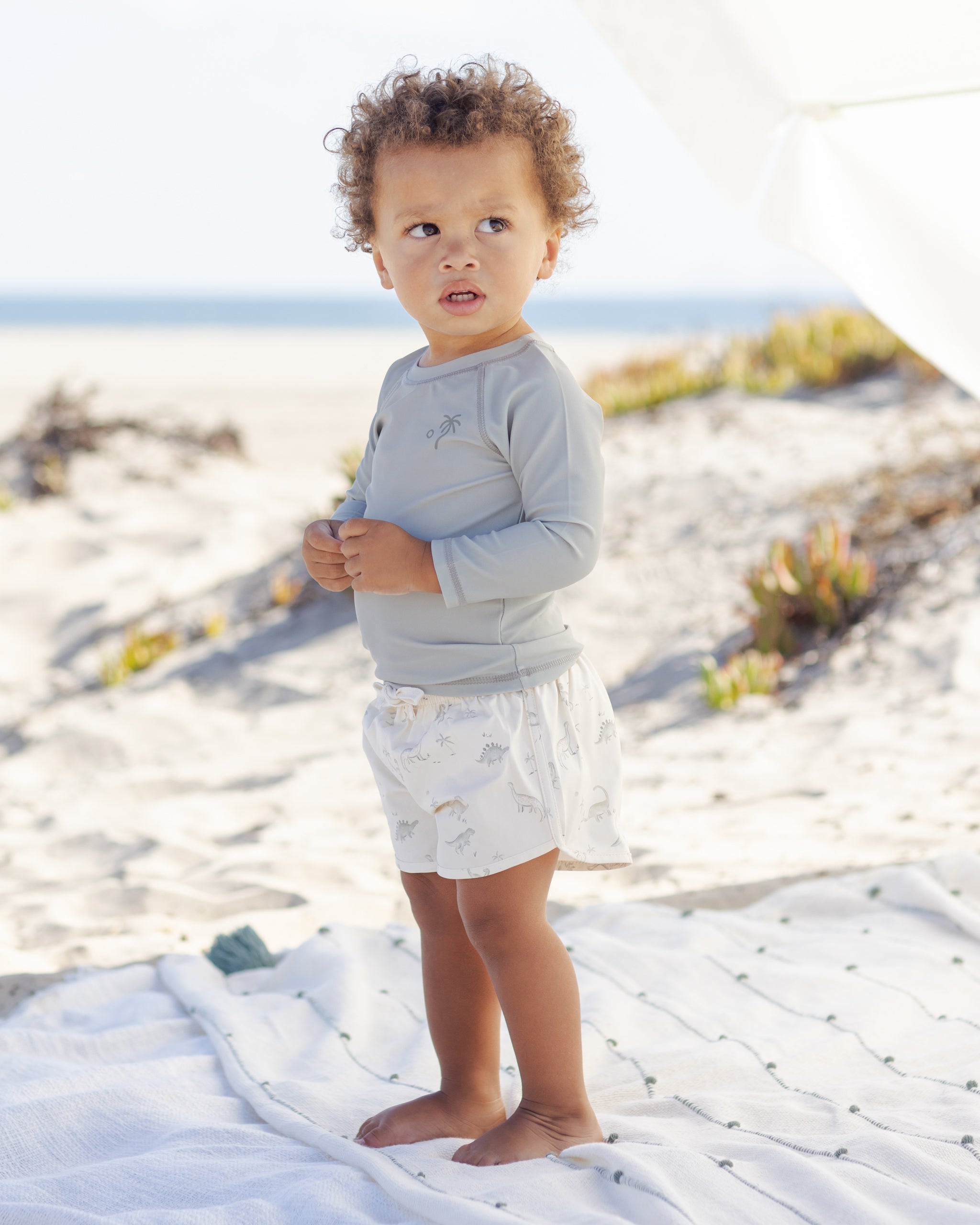 Rylee + Cru ライリーアンドクルー ベビー服 子供服 ボーイズ スイムショート　ダイナソー