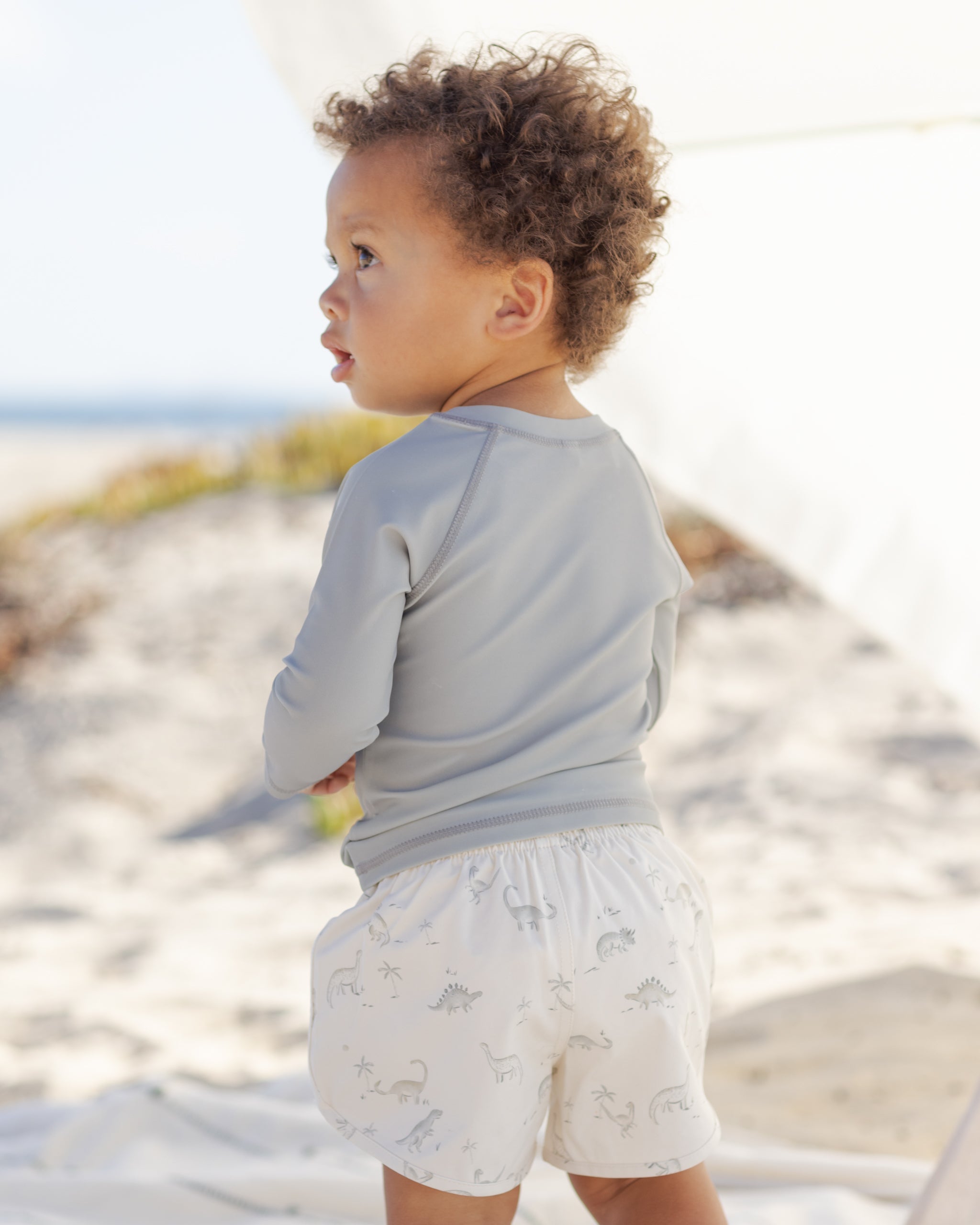 Rylee + Cru ライリーアンドクルー ベビー服 子供服 ボーイズ スイムショート　ダイナソー