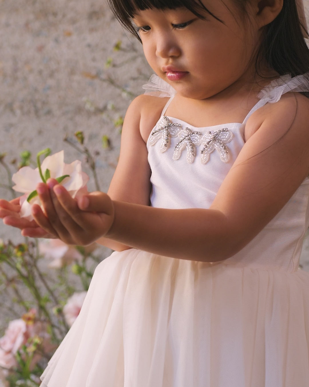 Ruffle Tulle Collar | Antique